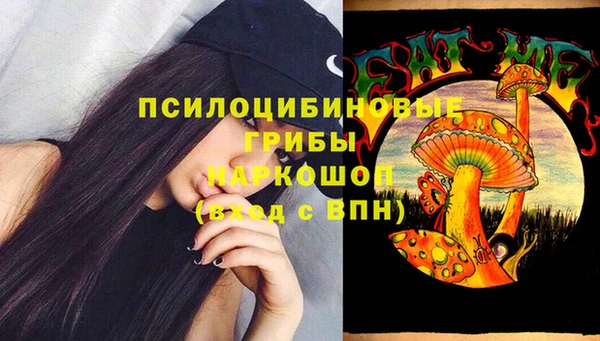 стафф Верхний Тагил