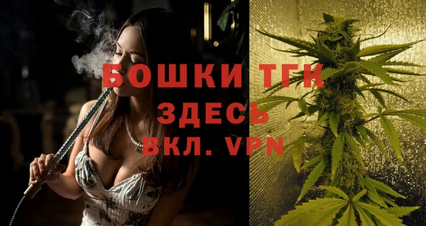 стафф Верхний Тагил