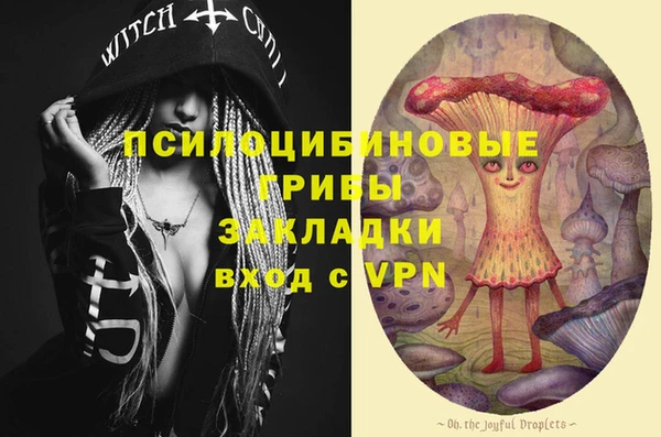 ПСИЛОЦИБИНОВЫЕ ГРИБЫ Верхнеуральск