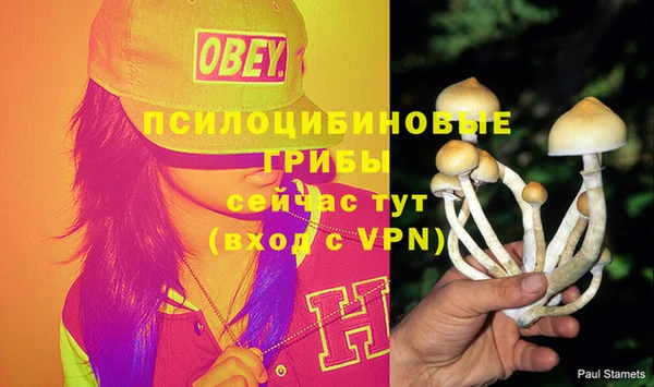 стафф Верхний Тагил