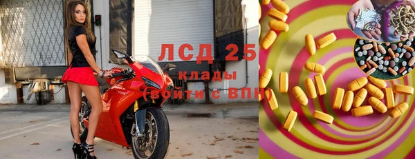 ПСИЛОЦИБИНОВЫЕ ГРИБЫ Верхнеуральск