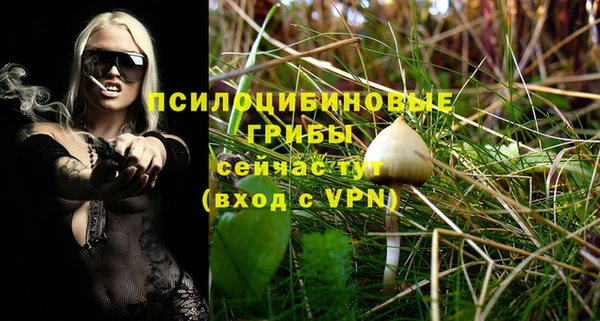 ПСИЛОЦИБИНОВЫЕ ГРИБЫ Верхнеуральск